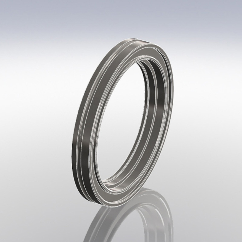 Lip Seal With Metal Seal Ring